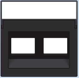 161-65400 Komplettierungsset mit transparentem Textfeld 1/2xRJ45 UTP Schrägauslass Schwarz